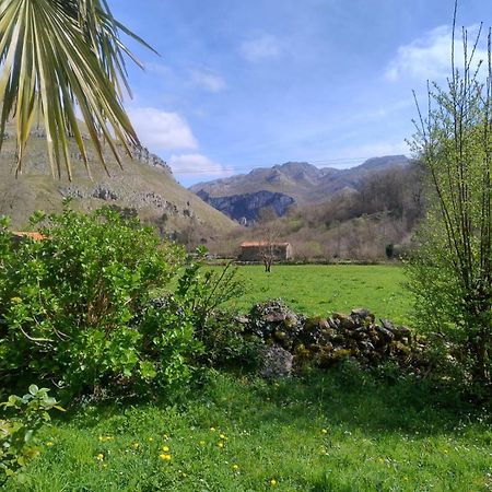 Amplia Y Comoda Casa De Piedra Con Porche Y Jardin San Roque de Ríomiera Dış mekan fotoğraf