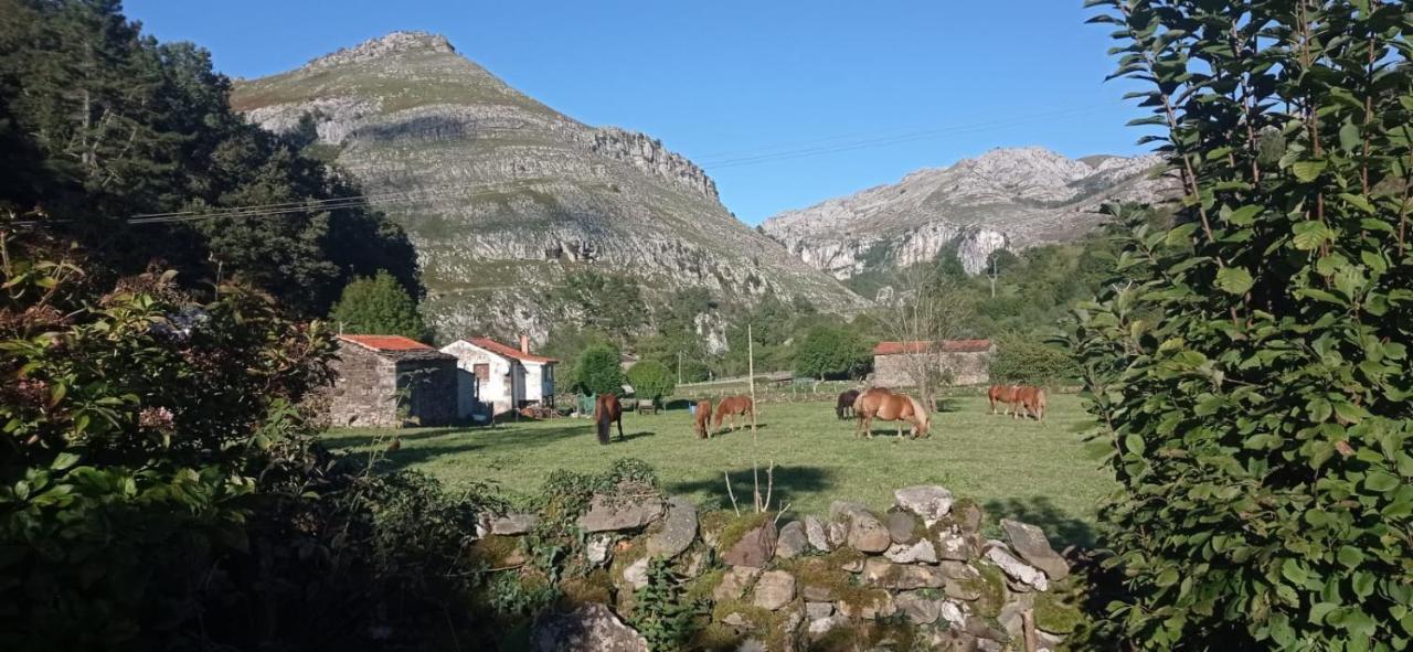 Amplia Y Comoda Casa De Piedra Con Porche Y Jardin San Roque de Ríomiera Dış mekan fotoğraf