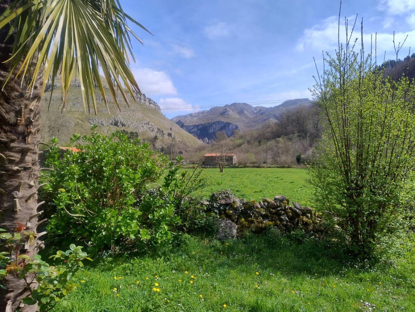 Amplia Y Comoda Casa De Piedra Con Porche Y Jardin San Roque de Ríomiera Dış mekan fotoğraf
